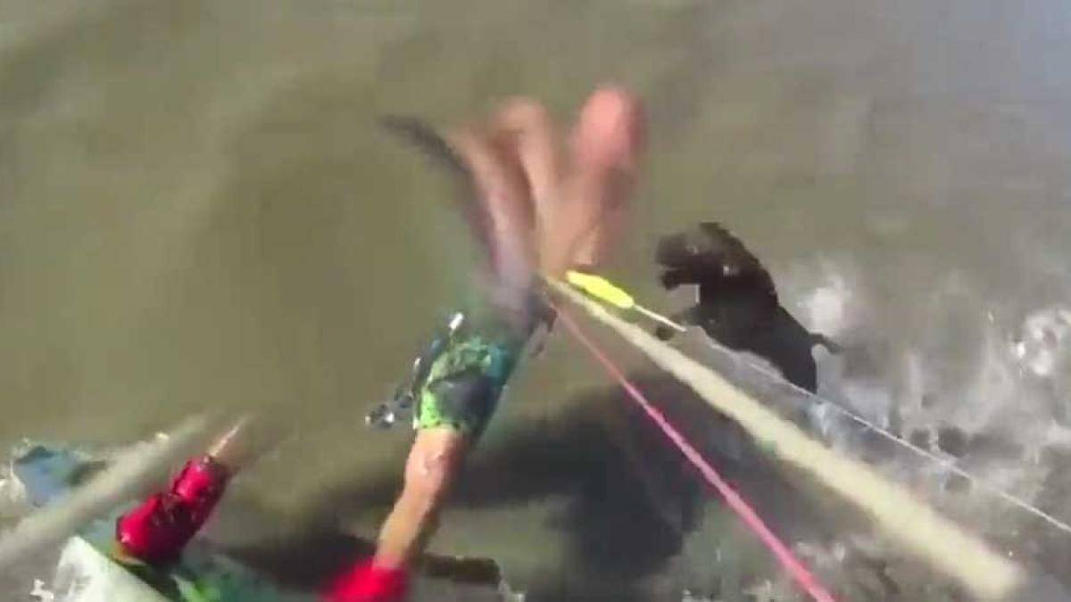 '¡Casi no lo cuento!'. Perro ataca a hombre que practicaba kitesurf; mira aquí el VIDEO