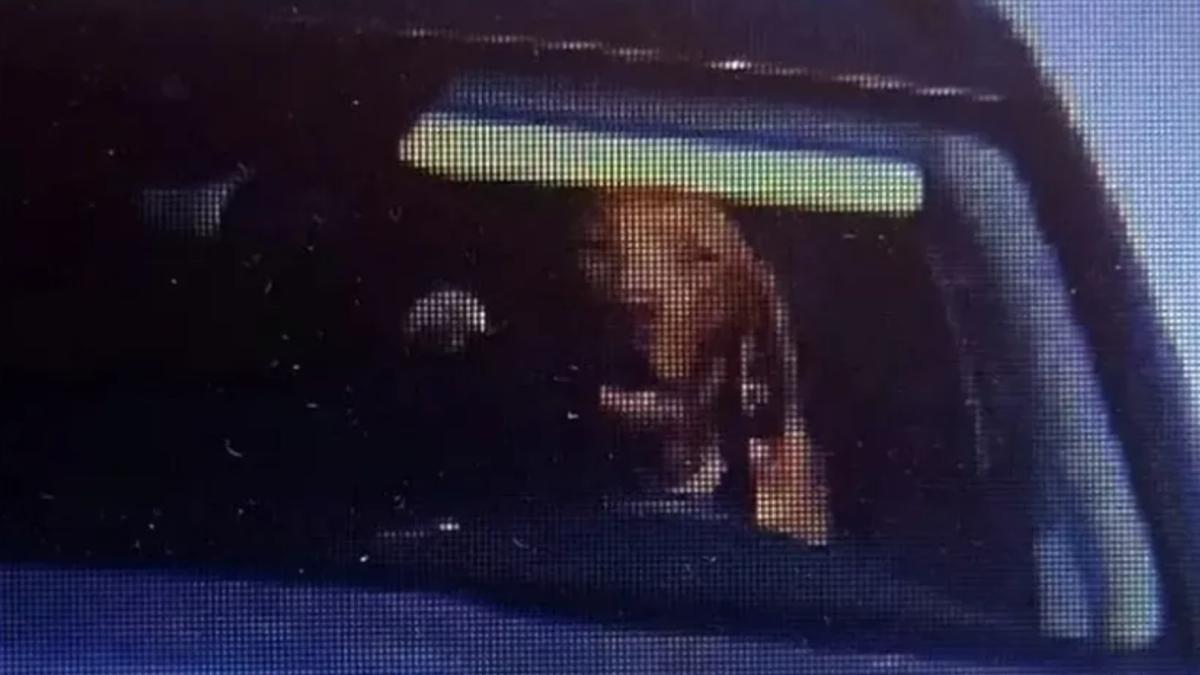 ¡Guau! Captan a perrito conduciendo auto a exceso de velocidad