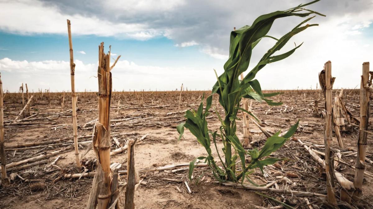 Prioridad atender problema grave de agua y sequía en el país: AMLO