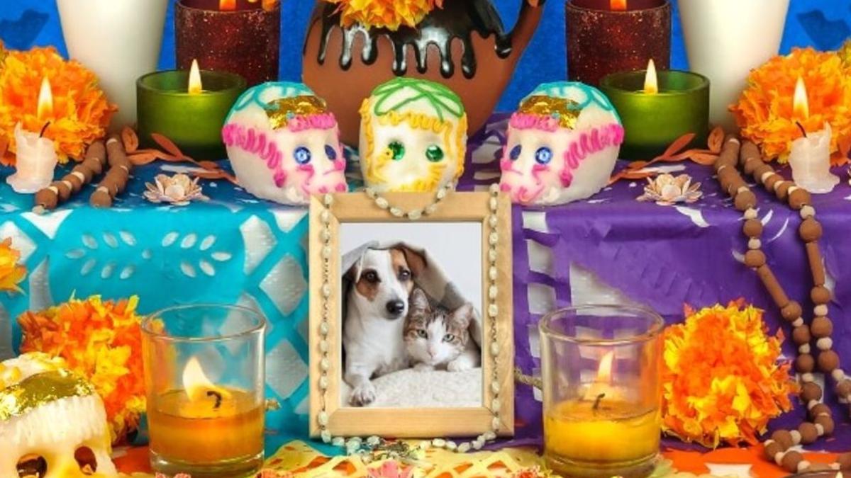 ¿Cuándo se pone el altar para mascotas del Día de Muertos y qué elementos lleva?