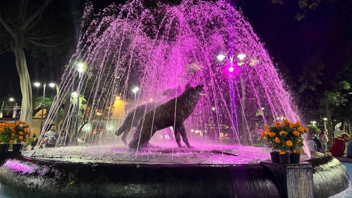 Coyoacán se ilumina de rosa por Día Mundial Contra el Cáncer de Mama