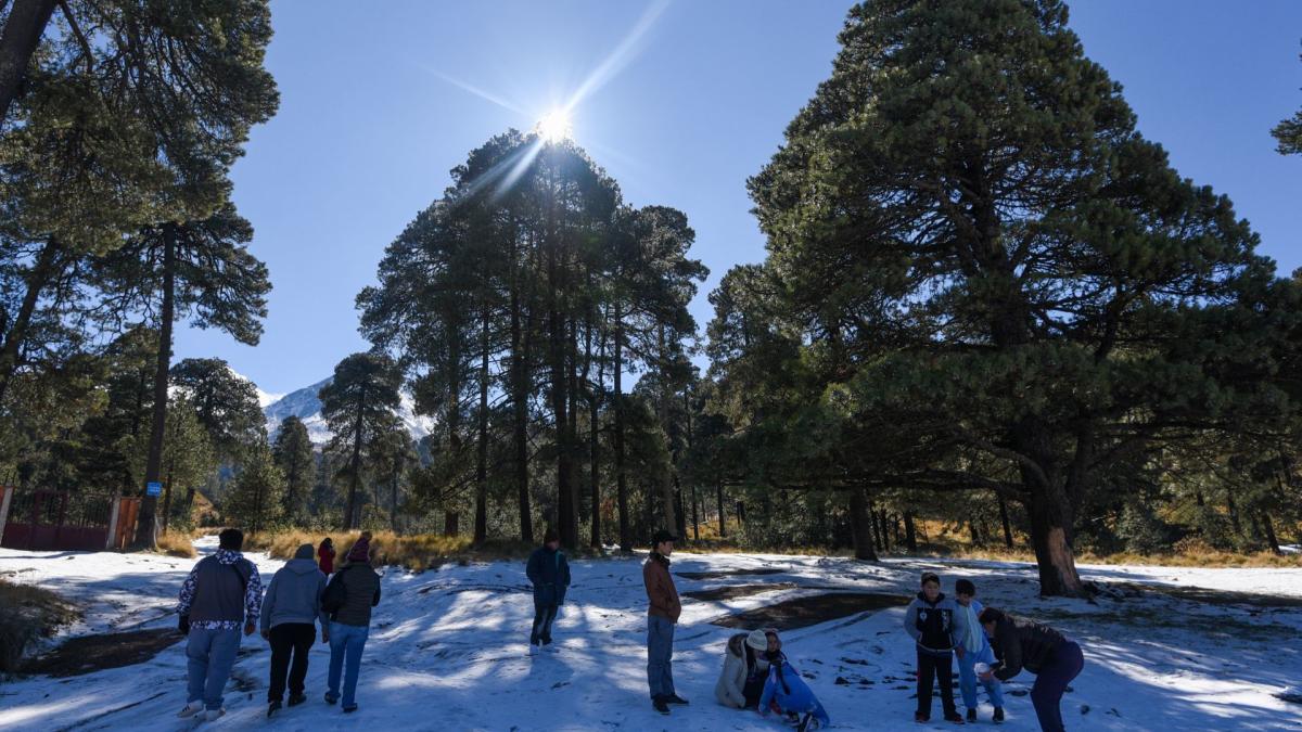 ¿Nevará en México? En estos estados se prevé caída de nieve por paso de ‘Pilar’