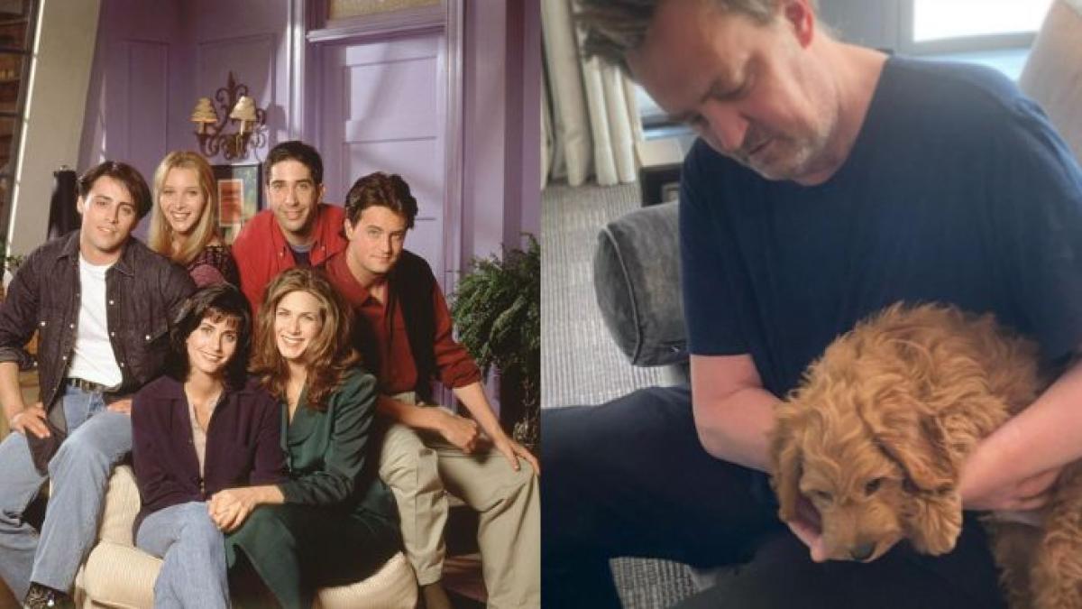 Ella es la compañera de Matthew Perry en 'Friends' que adoptaría a su perrito