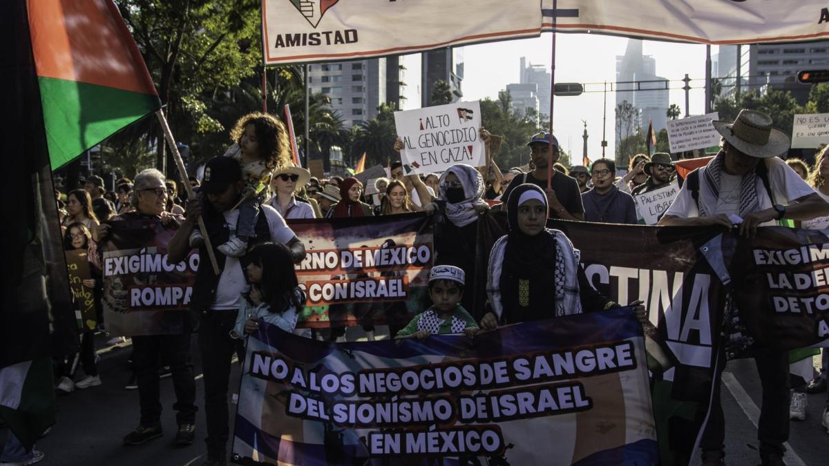 Amnistía Internacional en México pide firmas para exigir alto al fuego en Gaza