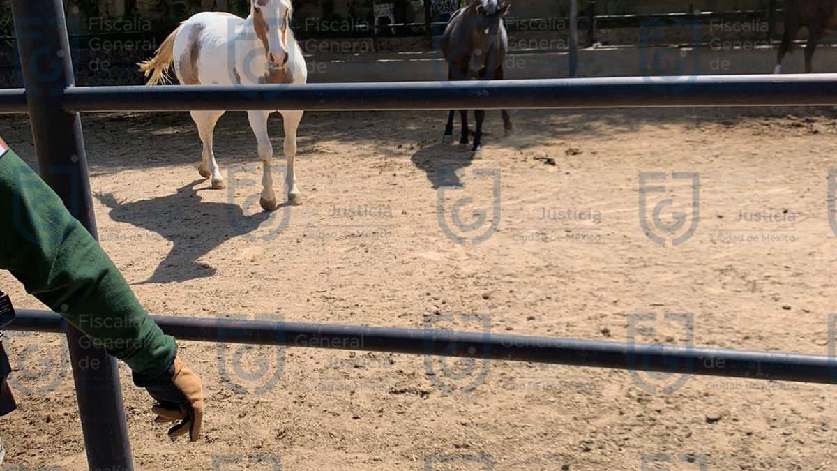 Catean rancho en Hidalgo de exoperador de Mancera