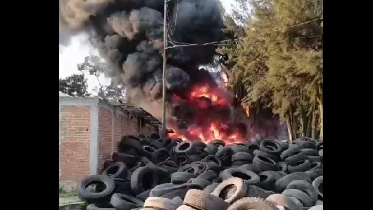 Incendio. Arden llantas al interior del 'Vivero Axolotl', en Camino a la Ciénega Grande, Xochimilco │ VIDEO