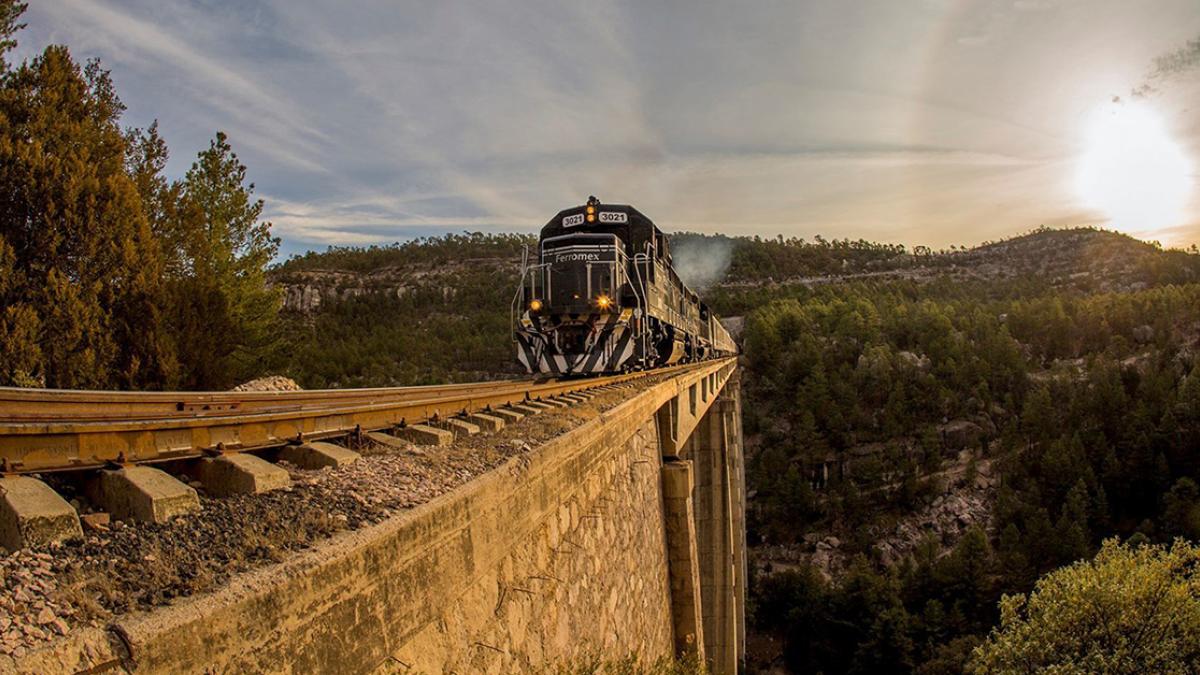 Decretan reactivar 7 vías para trenes de pasajeros