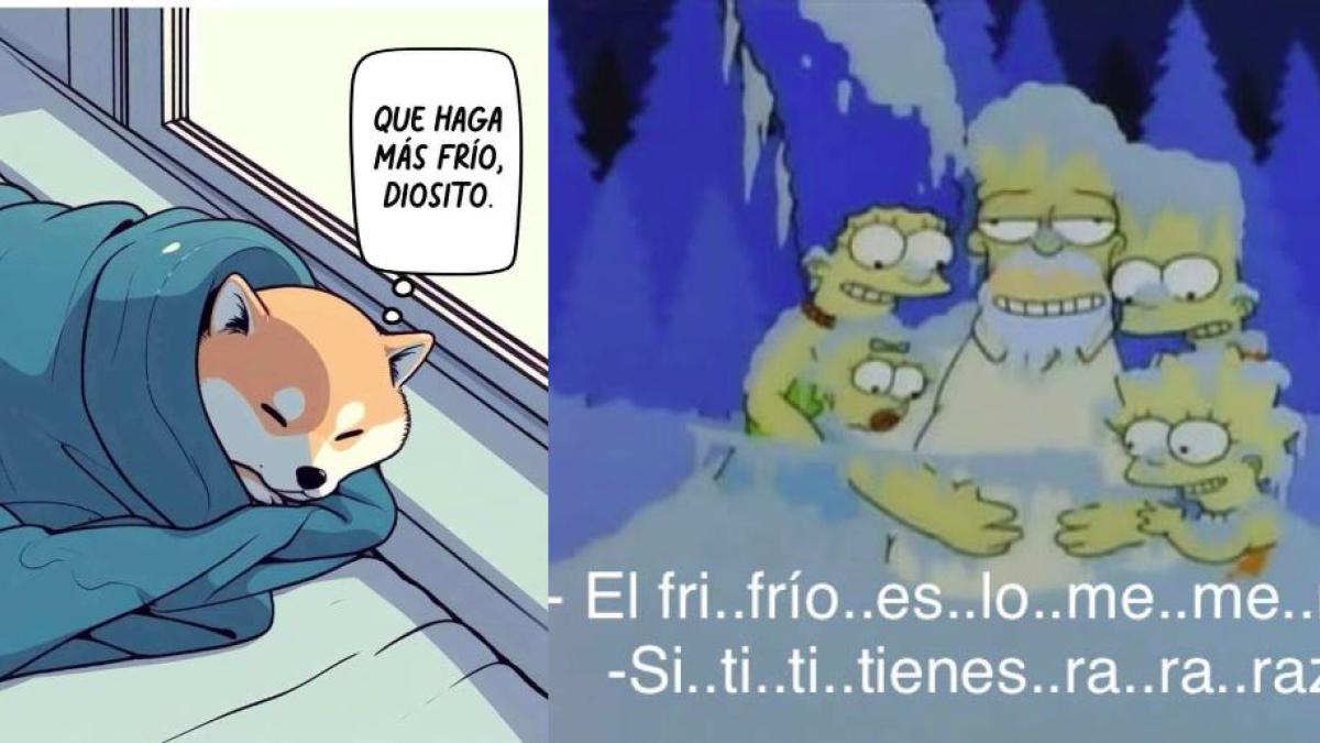 ¿Team Frío? Estos son los mejores memes para los que aman las bajas temperaturas