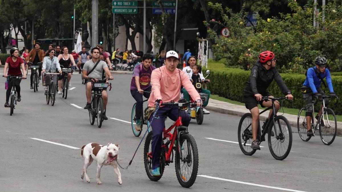 Bloqueos en CDMX por marchas y manifestaciones hoy 3 de diciembre; toma alternativas viales