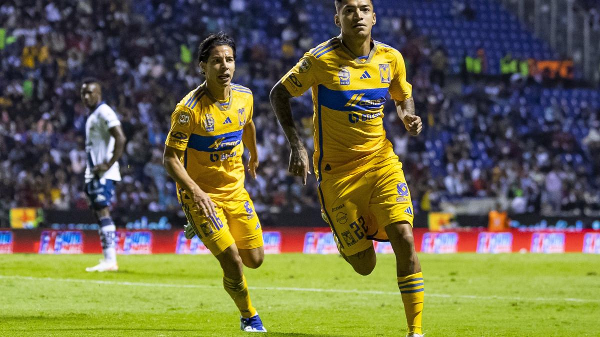 Fulgencio no seguirá en Tigres, los felinos no tuvieron paciencia y ya le consiguieron nuevo equipo