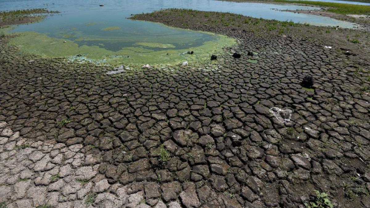 Anuario: Cambio climático agravó la sequía extrema en el país