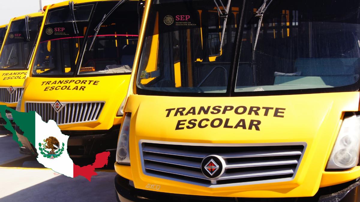 ¡Nunca más a pie! Estudiantes de primaria podrían ir a la escuela en transporte escolar gratuito