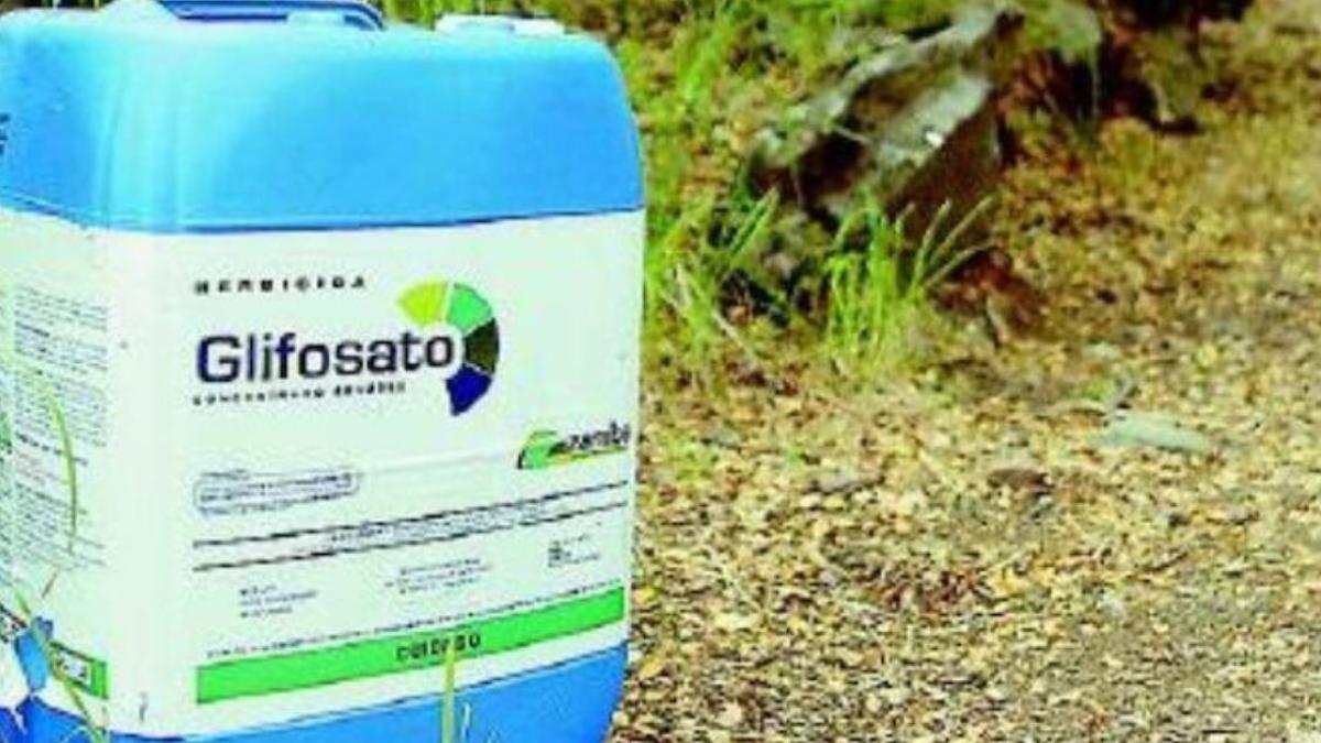 Magistrados revierten amparo a empresa Monsanto por uso de glifosato