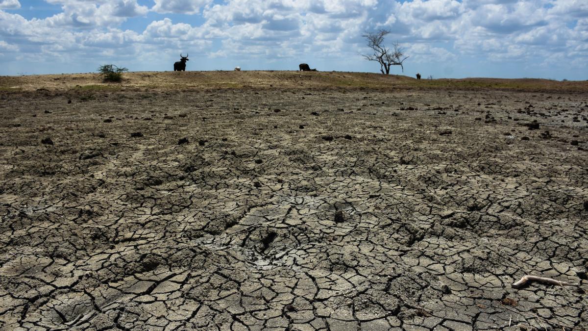 2023, año más seco desde 1941