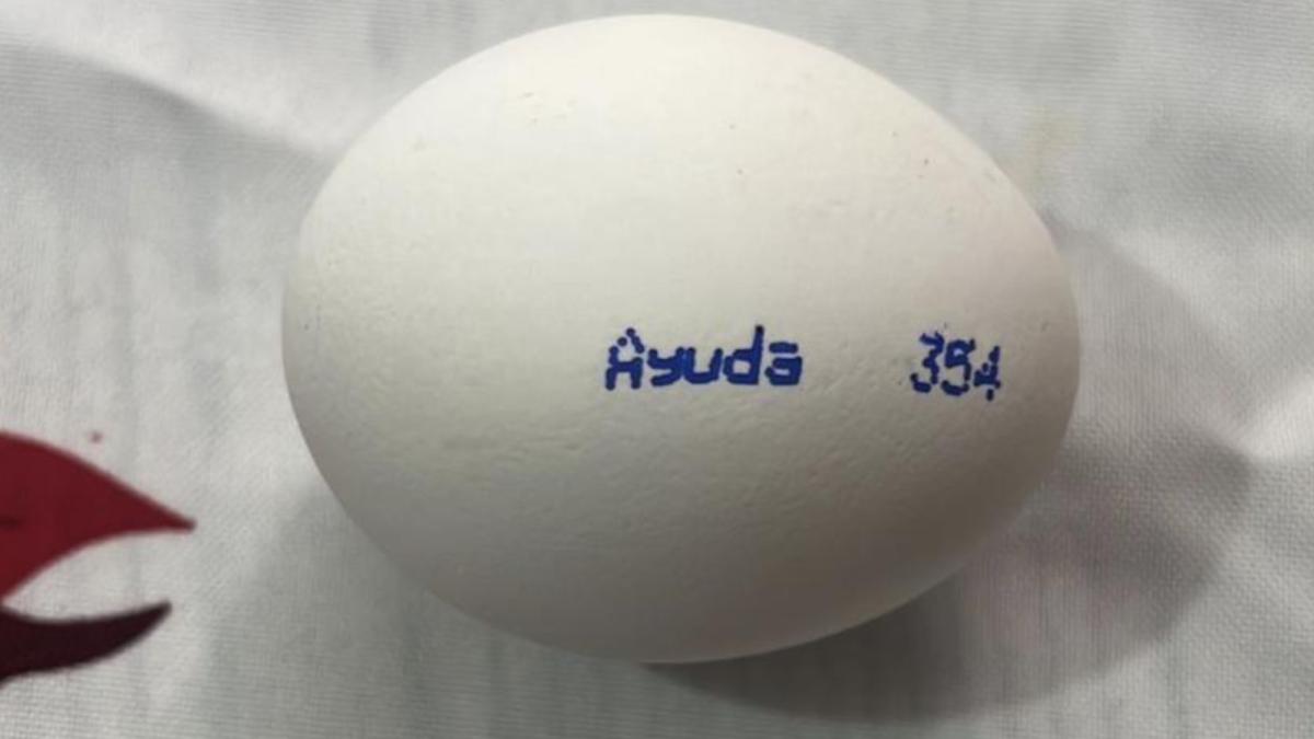 'Ayuda': ¿Qué significa el mensaje que viene escrito en los huevos de famosa marca mexicana?