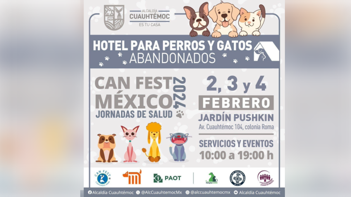 CanFest 2024: ¿Dónde y cuándo podrás llevar a tu perrijo a recibir servicios veterinarios gratuitos?