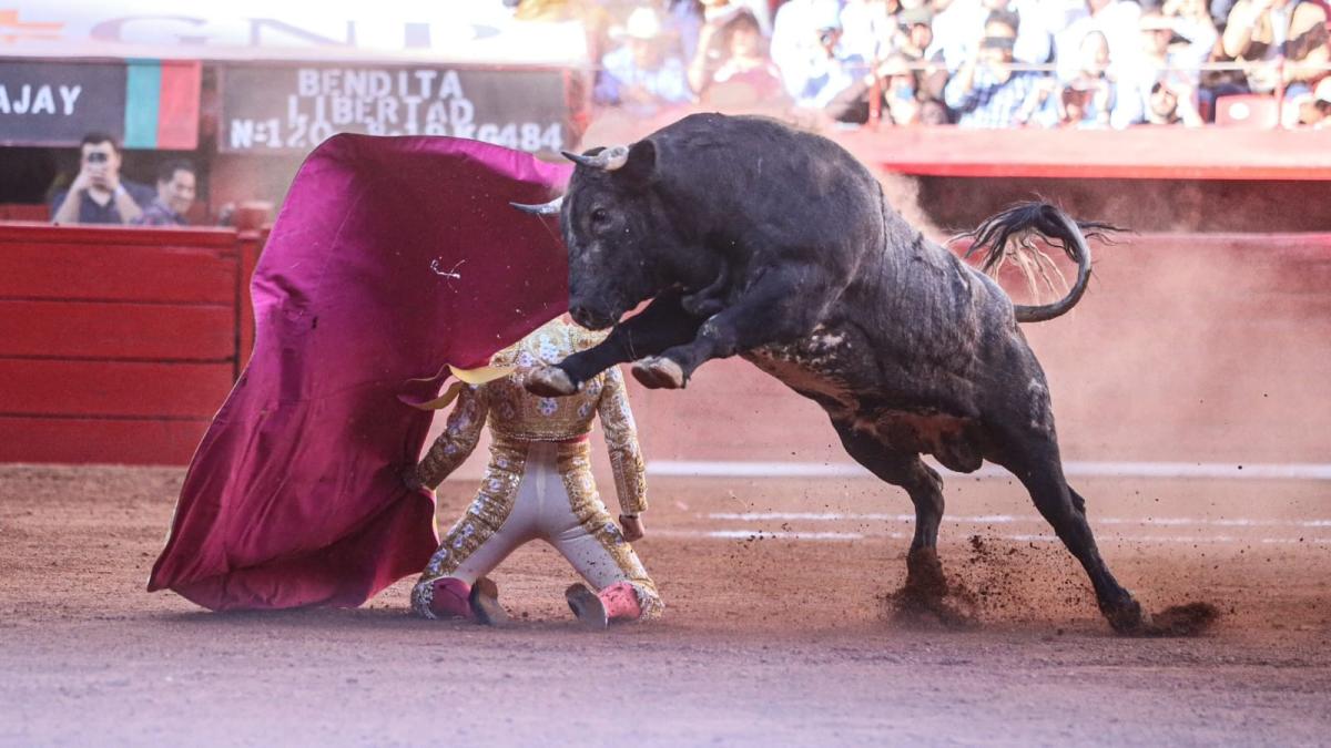 Xajay, 2 orejas a la francesa y un Fonseca de enjundia