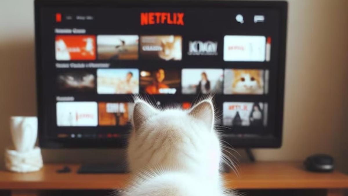 Netflix sube de precio este 2024, ¿afecta a México?