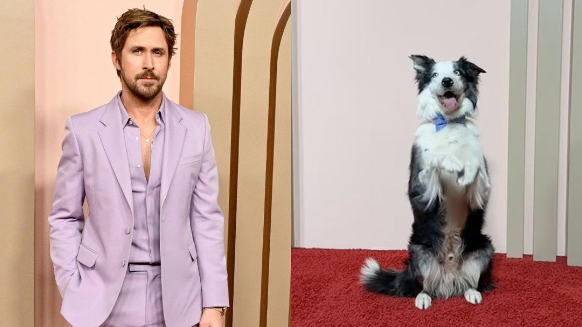 Oscar 2024: Ryan Gosling conoce a Messi, el perro de 'Anatomy of a fall'