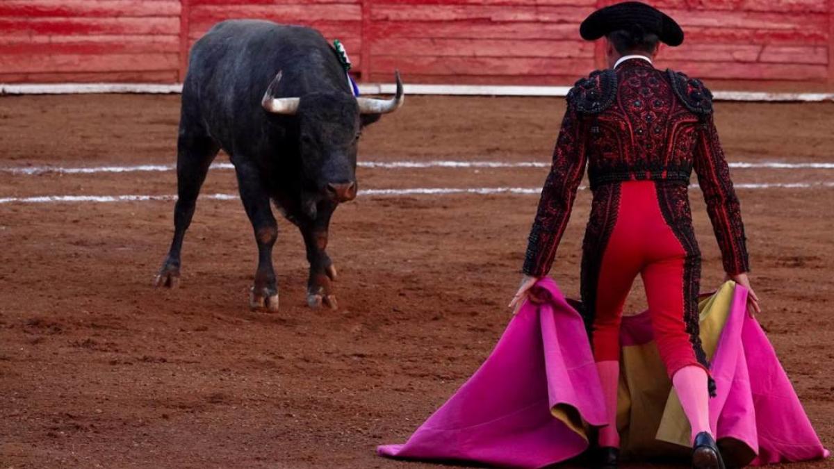 Rechazan otorgar suspensión definitiva contra corridas de toros; se mantiene espectáculo en la Plaza México