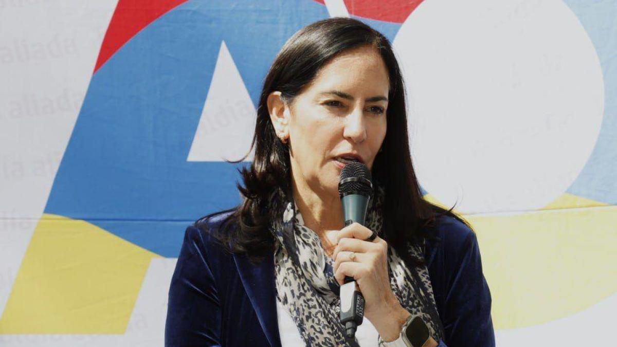 Lía Limón denuncia campaña en su contra