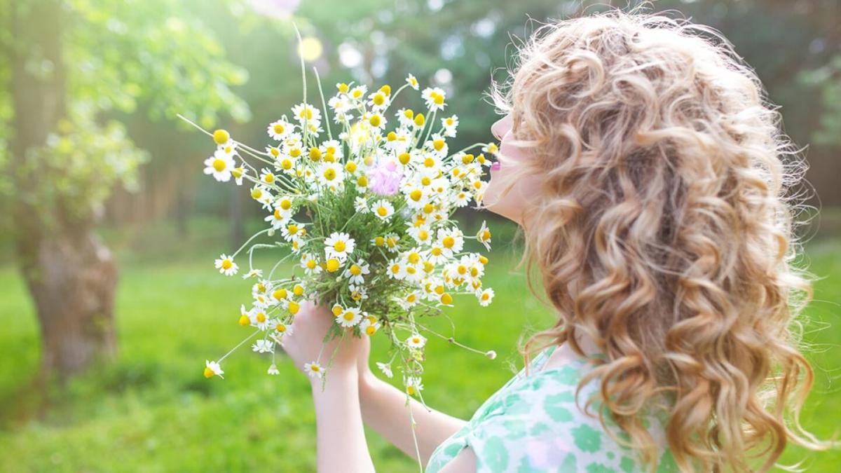 ¿Cómo teñir mi cabello con la flor de manzanilla sin maltratarlo?