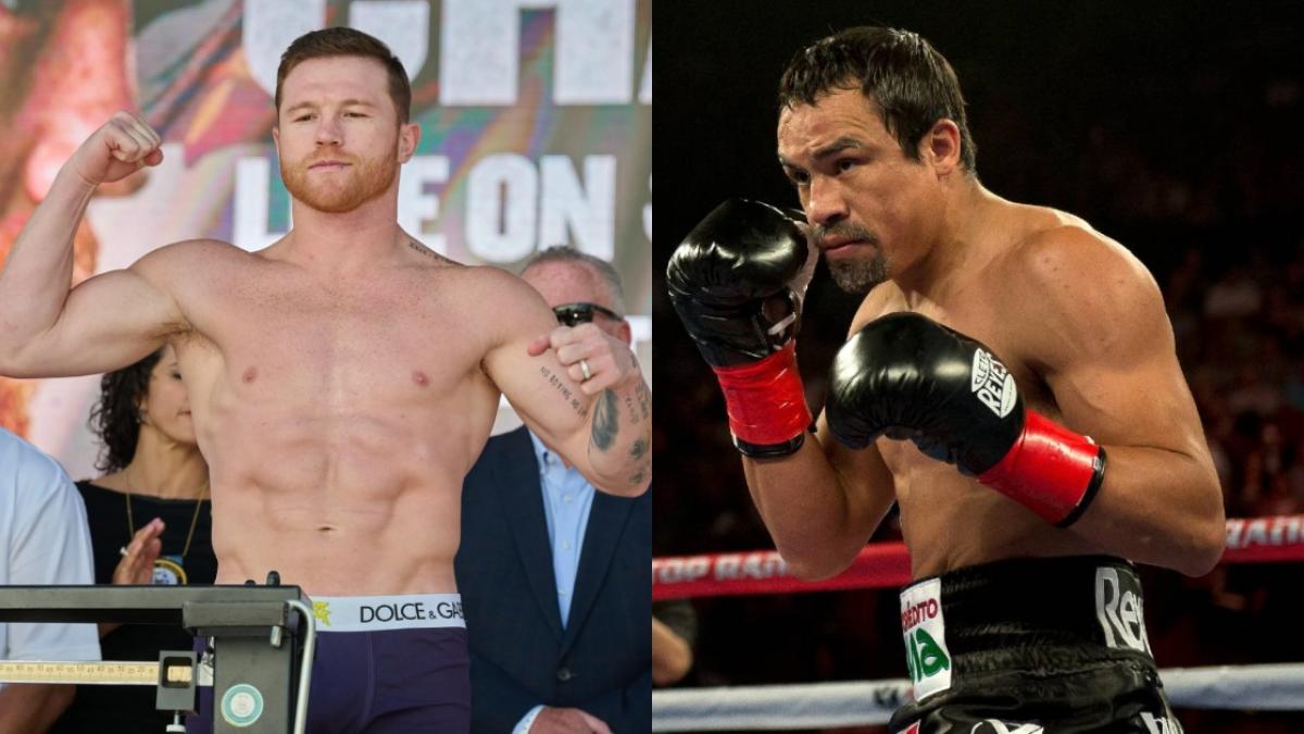 BOX | 'Canelo' Álvarez es destrozado por Juan Manuel Márquez; "Hay que tener respeto..." (VIDEO)