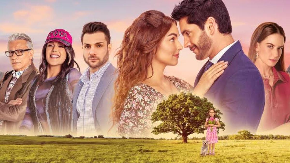 Conoce al elenco de 'El Amor No Tiene Receta', la novela qué lidera el rating