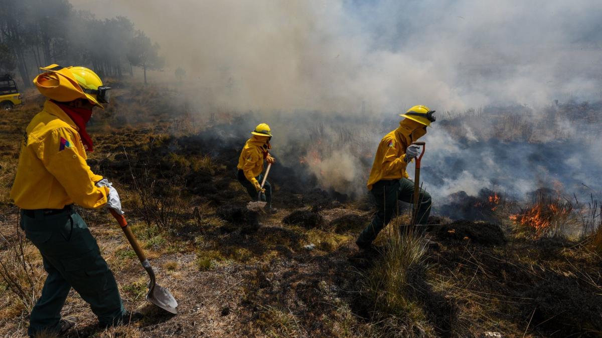 Incendios forestales 2024: Reportan 25 activos al momento