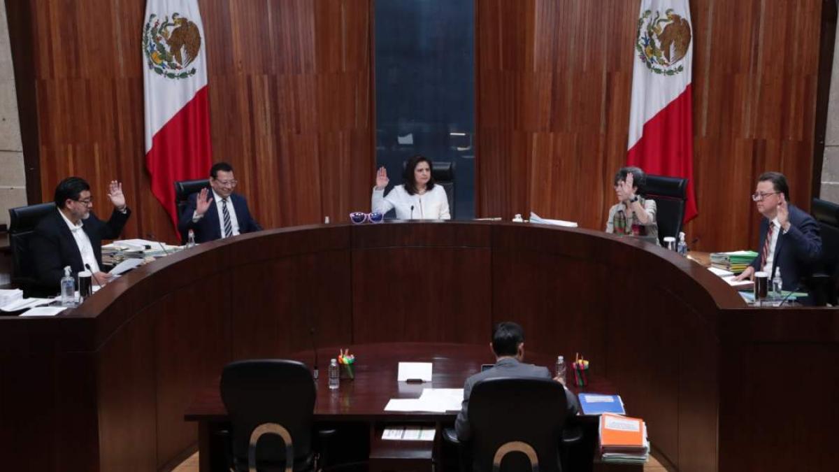 Tribunal Electoral abrirá catálogo de infracciones cometidas por servidores en elecciones