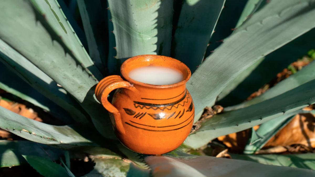 Rico, pero también nutritivo: Conoce cuáles son los beneficios del pulque