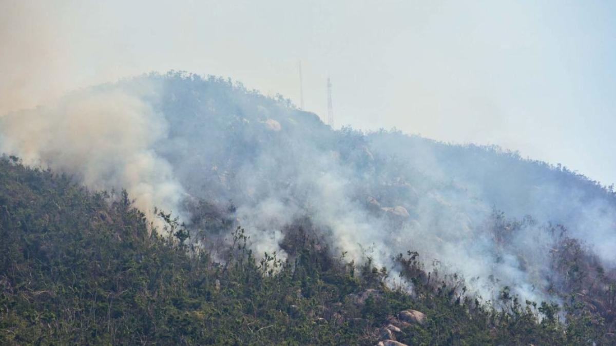 Hay 28 incendios forestales activos en México, reporta Conafor