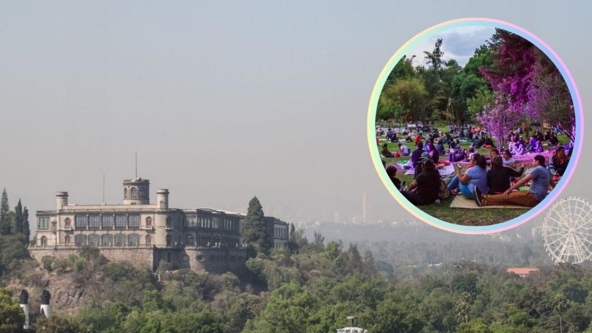 Festival del Bosque de Chapultepec: picnic nocturno y todas las actividades que habrá