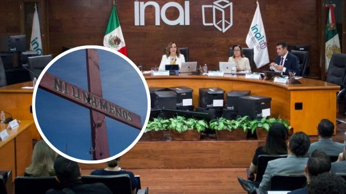 Cámara de Diputados debe dar a conocer reformas contra violencia política en razón de género: Inai