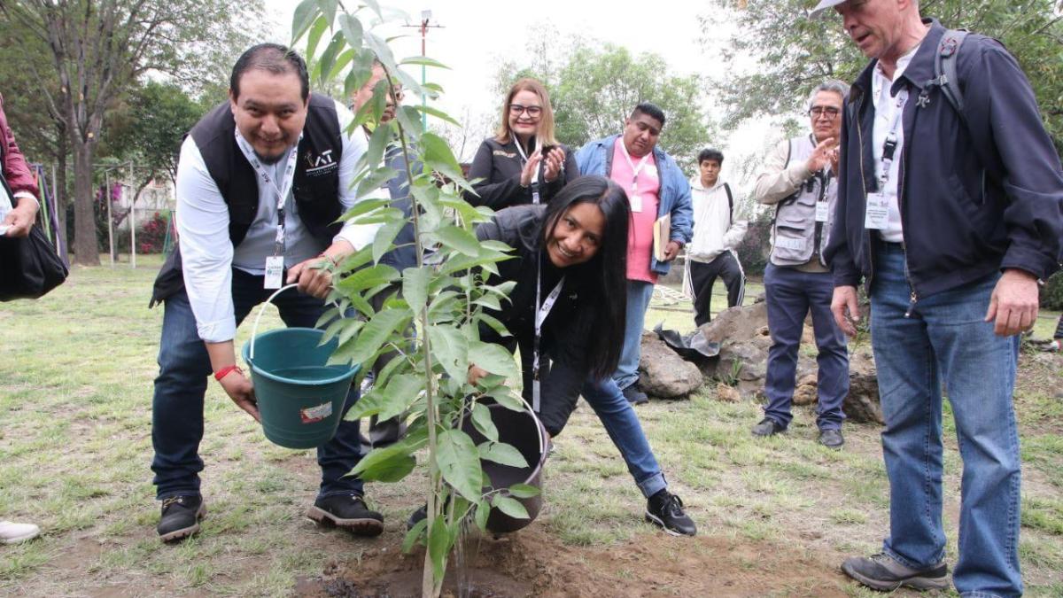 Tlalpan es reconocida como Ciudad Árbol del Mundo por tercer año consecutivo