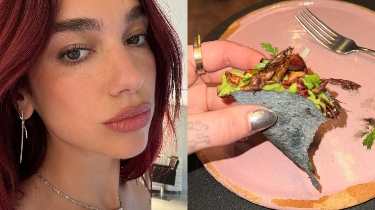 Dua Lipa come tacos de chapulín en la CDMX; estos son los beneficios del platillo mexicano