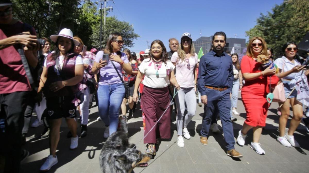 Con 20 acciones Brugada presenta “animales con derecho”; promete abrir fiscalías de protección animal