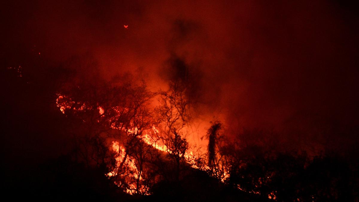 Activos, 95 incendios forestales en 18 entidades