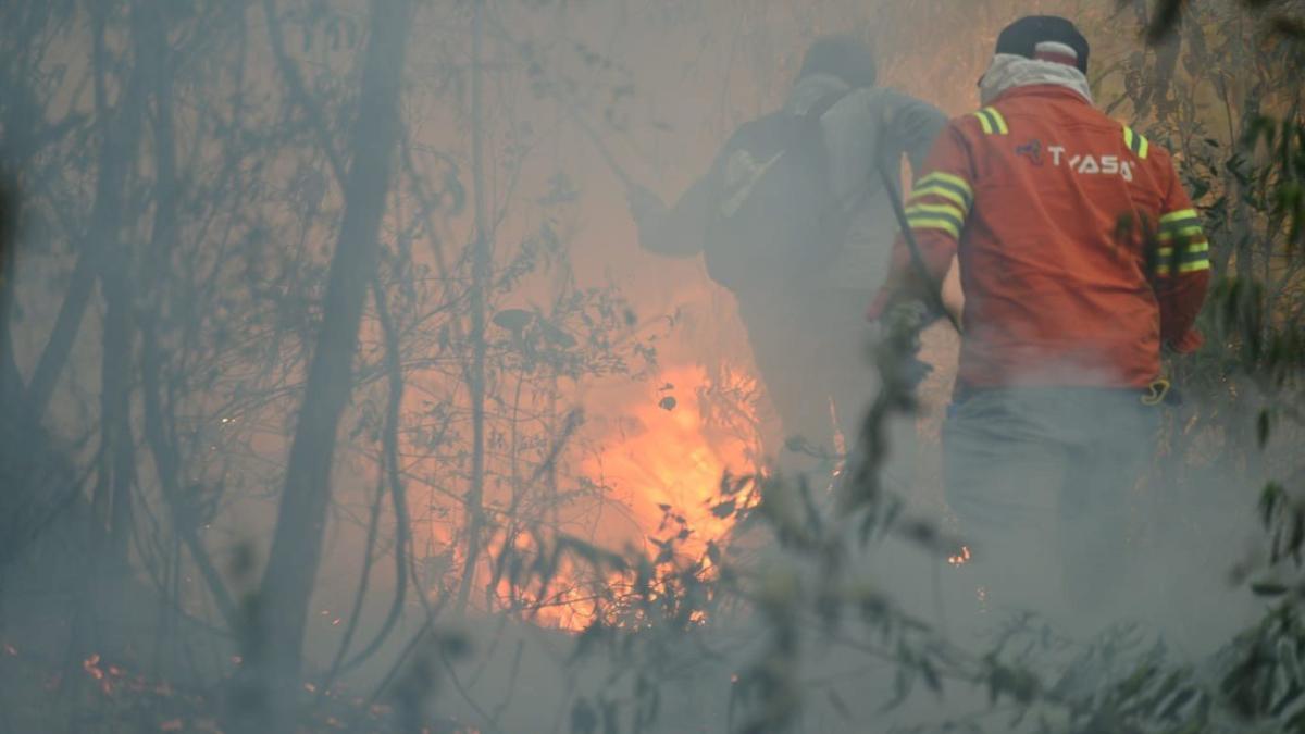 Combaten 7 mil brigadistas 113 fuegos