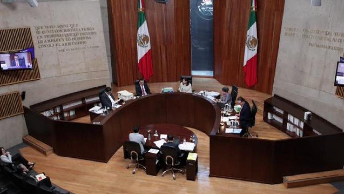 Invalidado mecanismo de seguimiento electoral de la CNDH por TEPJF