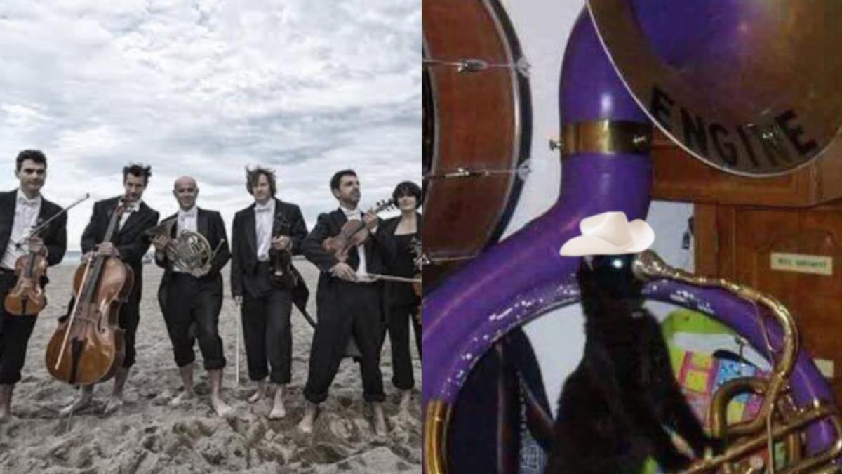 '¡De aquí no nos corren, plebes!' | Los mejores MEMES de las bandas en playas de Mazatlán