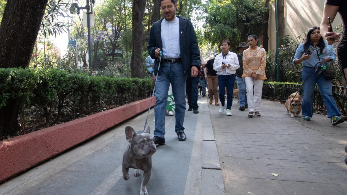 Celebran en CDMX reformas a la Ley de Protección Animal