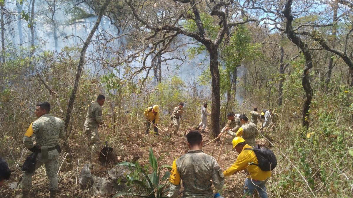 En las últimas 24 horas extinguen 14 incendios forestales; al momento, 99 activos