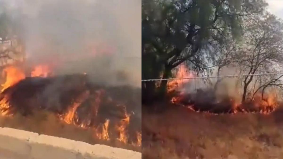 Se registra incendio de pastizales en la colonia Ejidos de San Pedro Mártir, en Tlalpan, CDMX