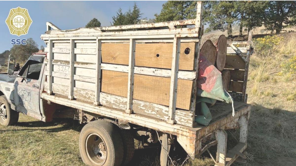 Cae presunto líder de talamontes