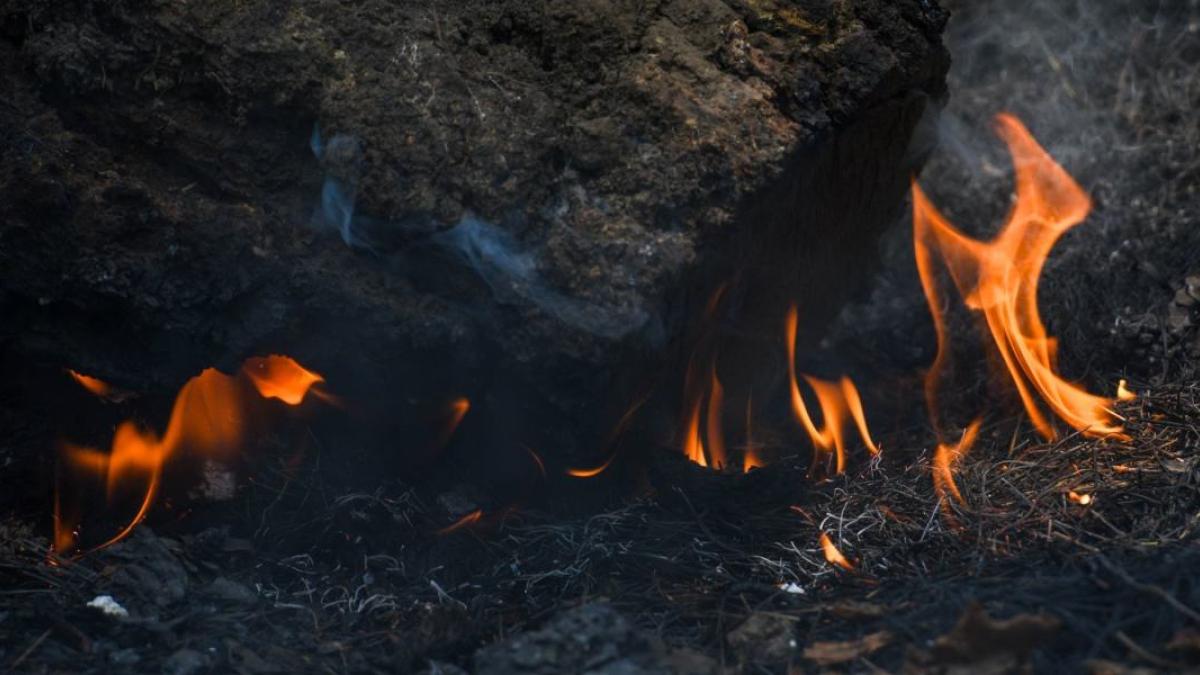 Hay 73 incendios forestales activos en el país, reporta Conafor
