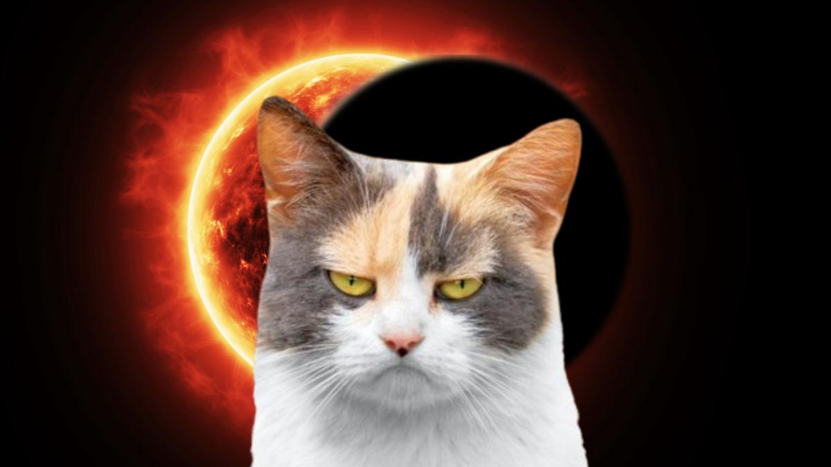 Eclipse solar 2024: ¿Tendrá algún efecto en el comportamiento de los animales?