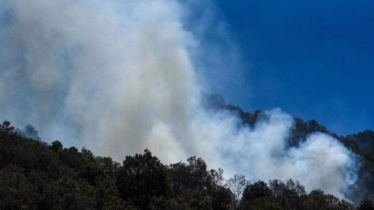 Al momento 71 incendios forestales en México