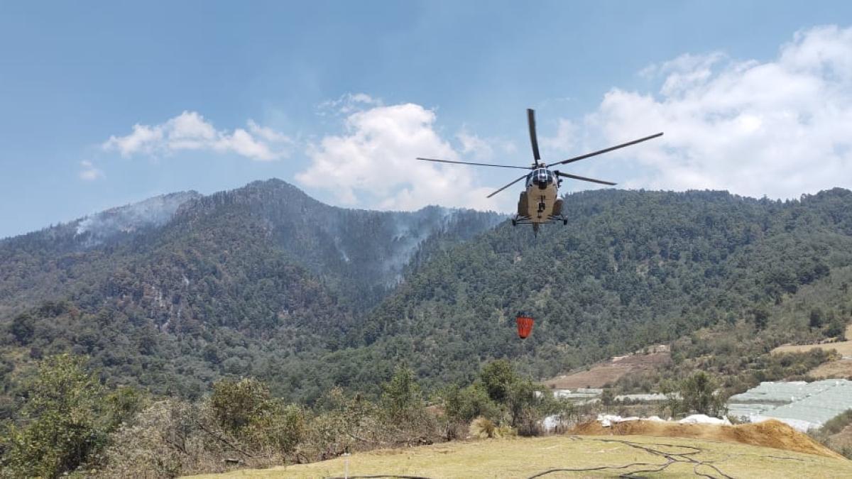 Reportan 73 incendios forestales