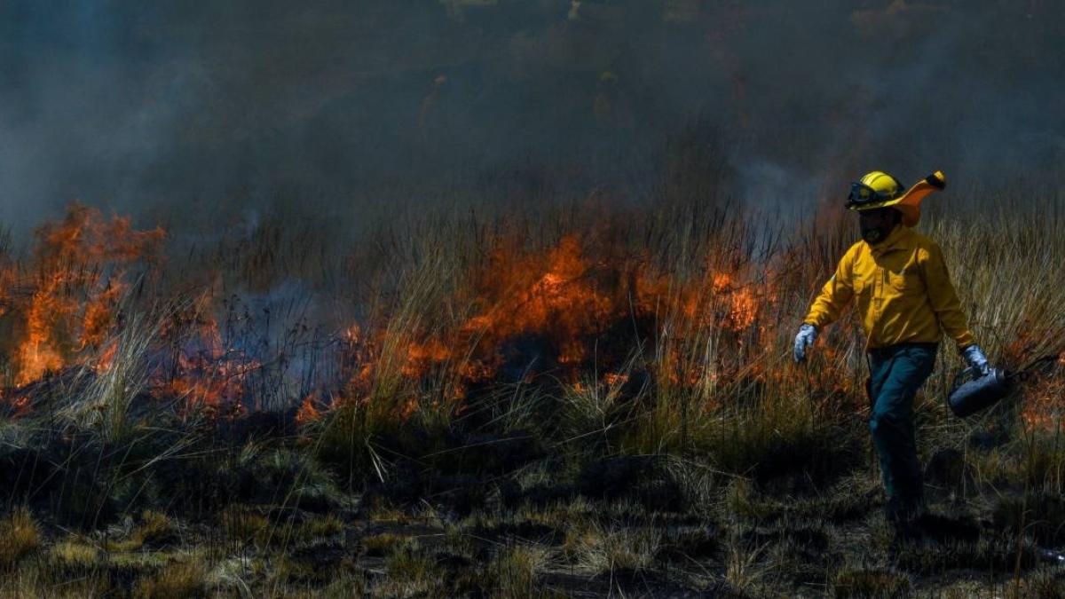 Hay 75 incendios forestales activos en México, reporta Conafor